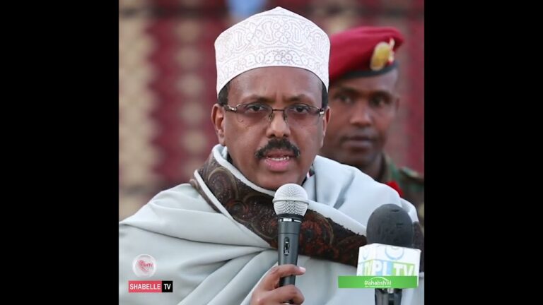 Farmaajo oo si lama filaan ah uga falceliyay heshiiska Golaha Wadatashiga